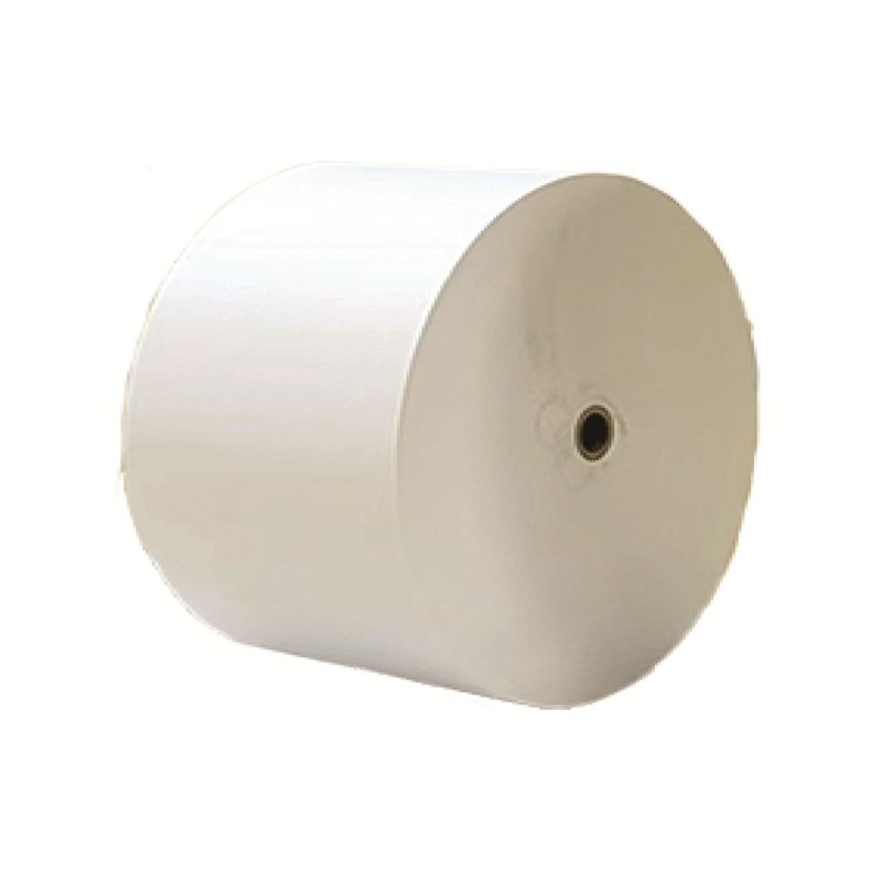 PLA Coated Paper Roll